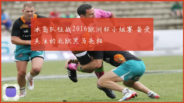 冰岛队征战2016欧洲杯小组赛 备受关注的北欧黑马亮相